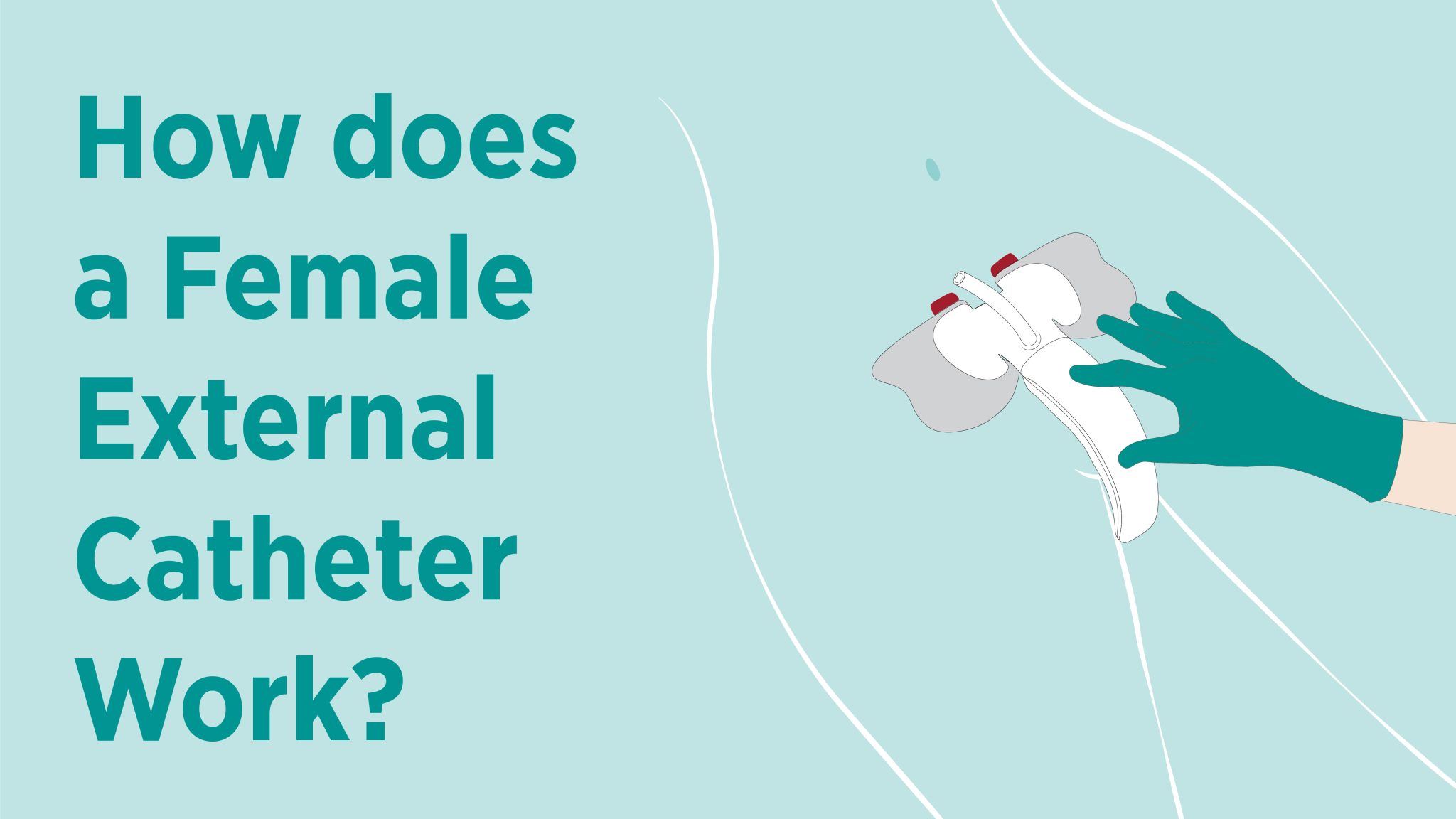 How Does a Female External Catheter Work? Consure Medical