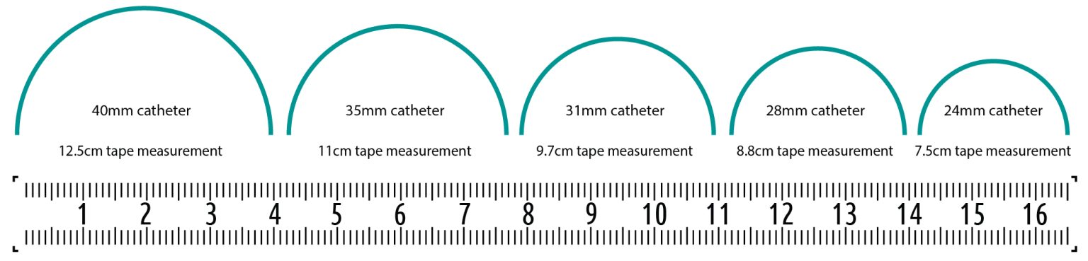 External Catheter Size Chart